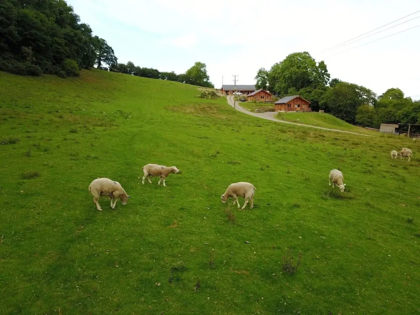 The Gathering - Apple Cabin
