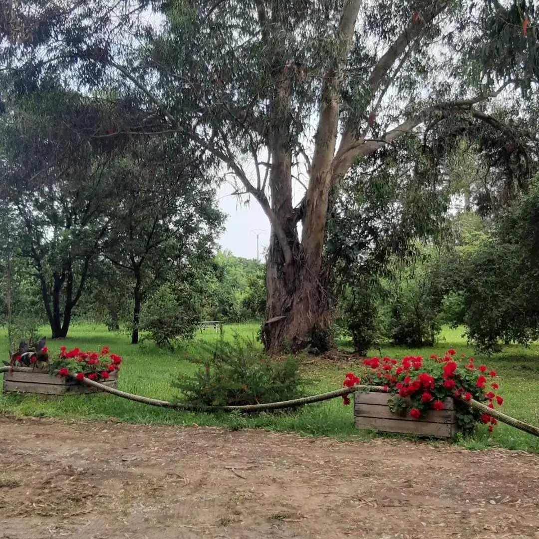 Résidence U Valledoro