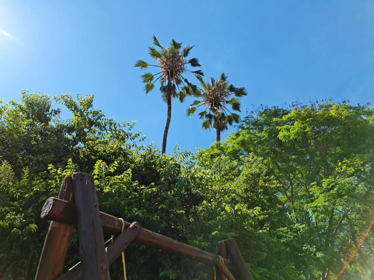 Peaches & Cream Bed & Breakfast