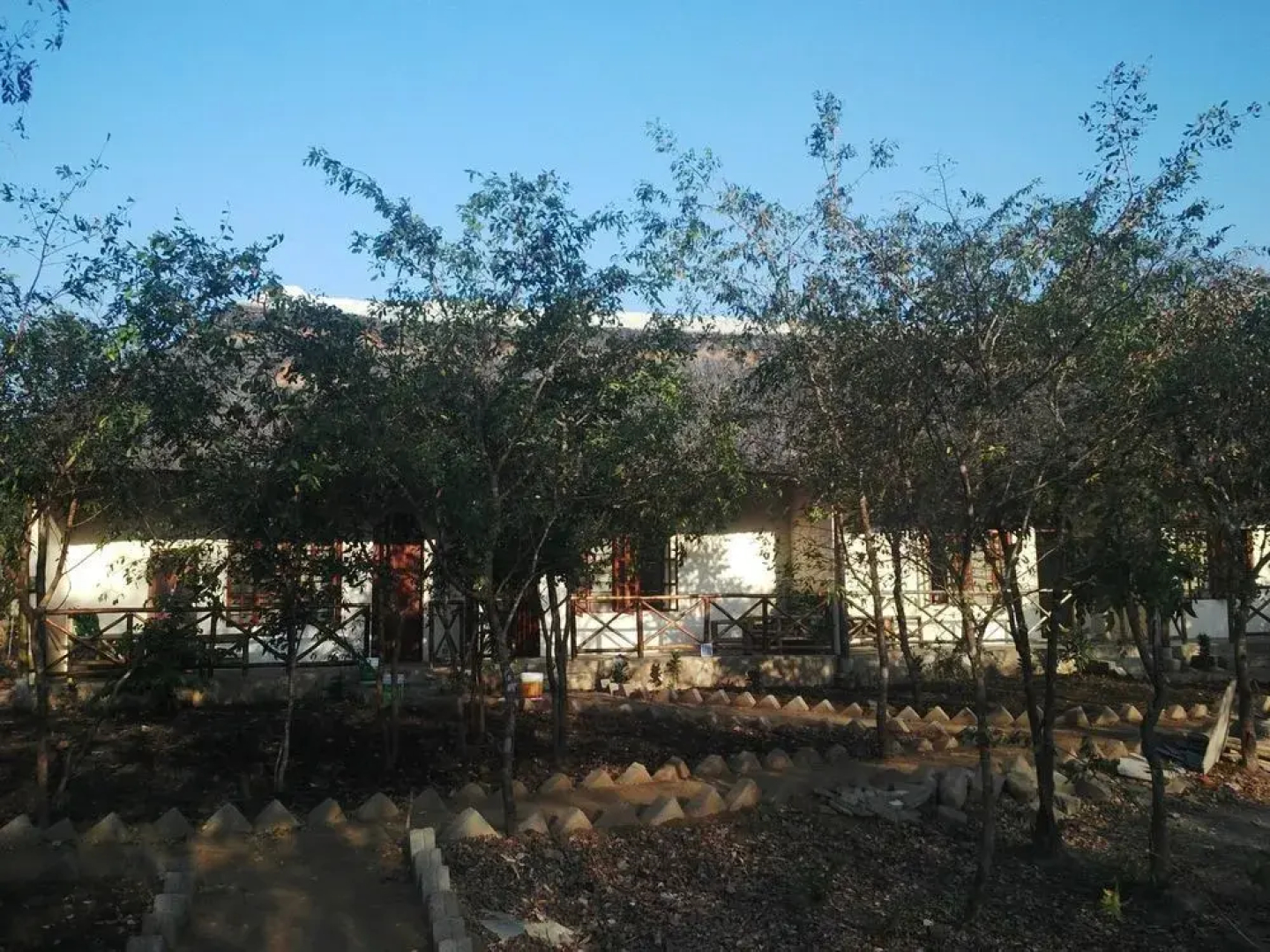 Mikumi Adventure Lodge