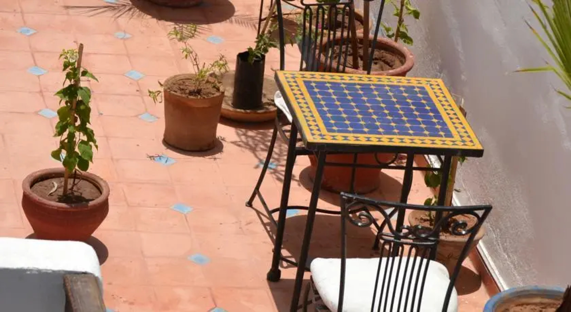 Riad Ziryab