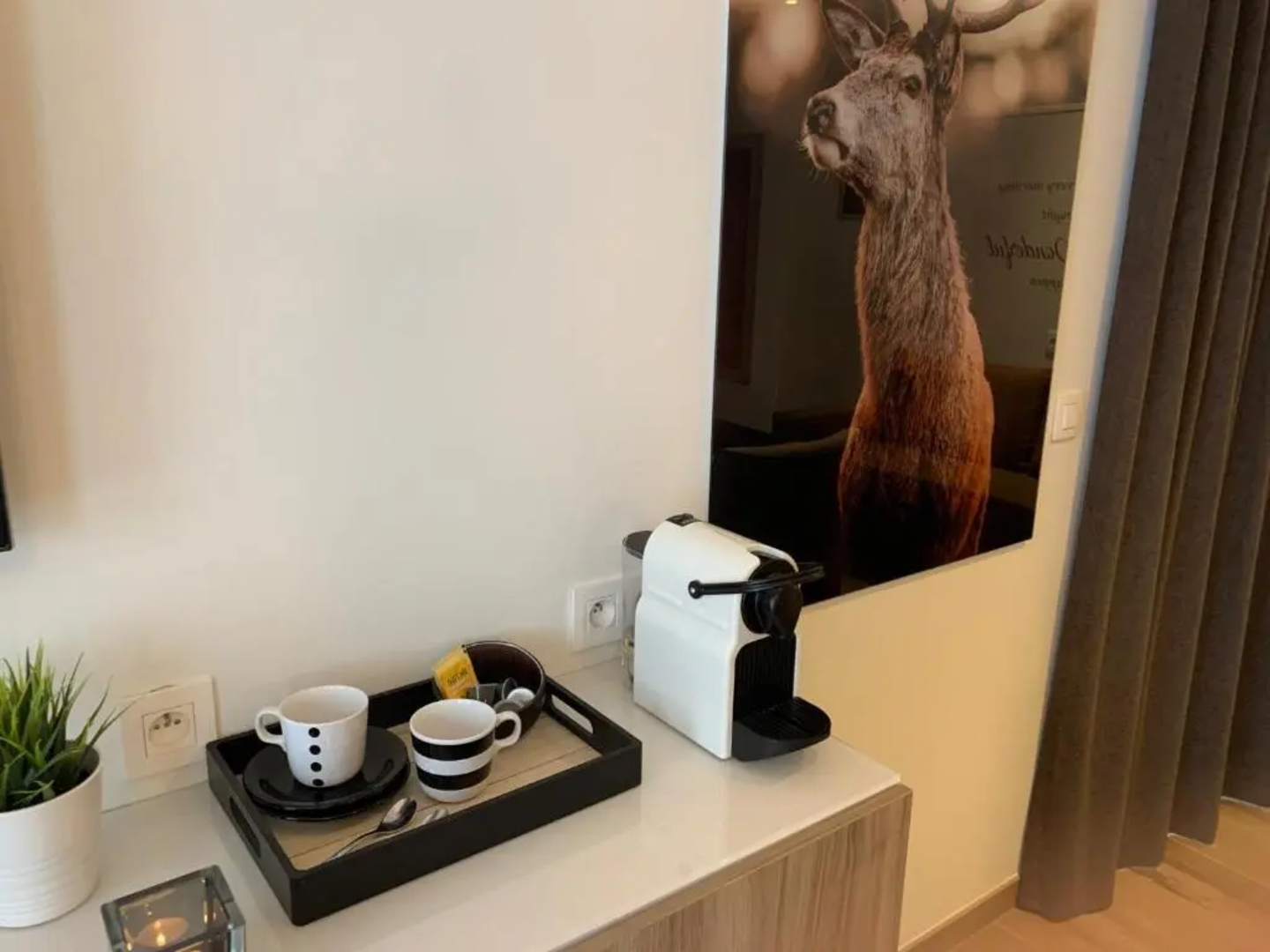 Q Studio (Adults Only)