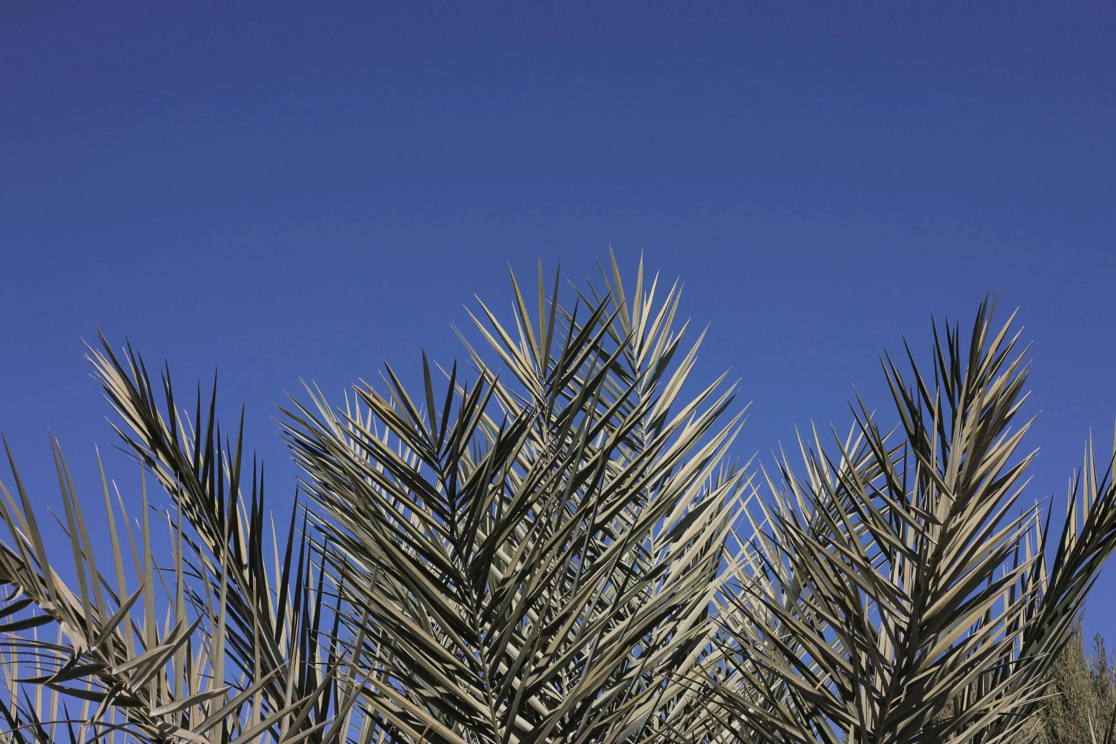 Kyriad Marseille - Vitrolles Aéroport