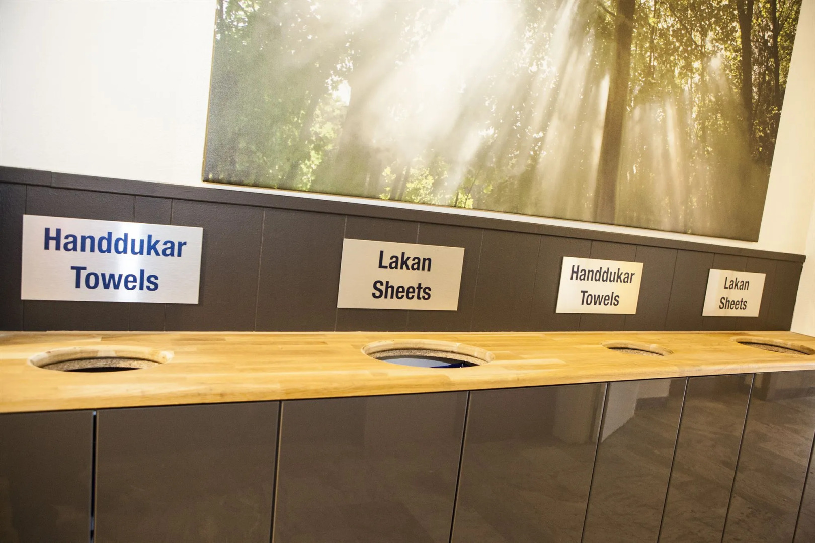 Dream – Luxury Hostel