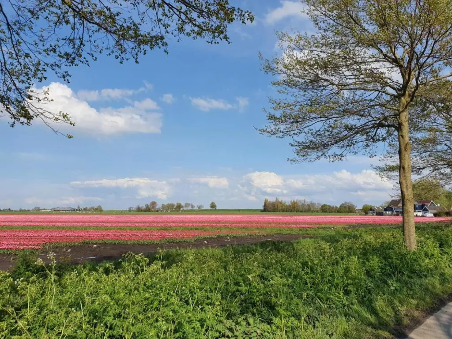 Bed & Breakfast De Leekerhoek