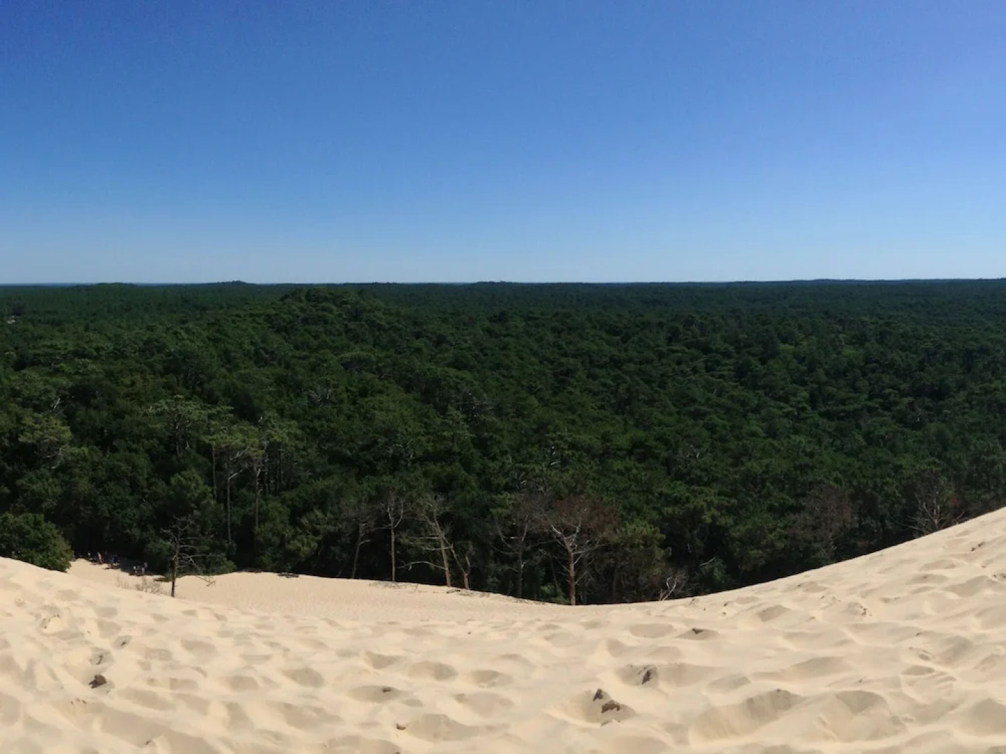 Charming Holiday Home in La Teste-de-buch With Swimming Pool