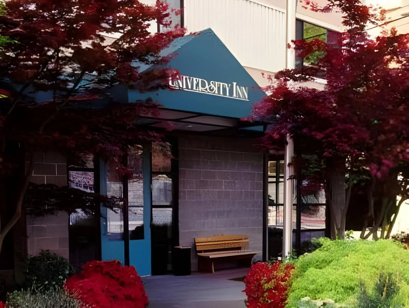 Staypineapple, University Inn, University District Seattle