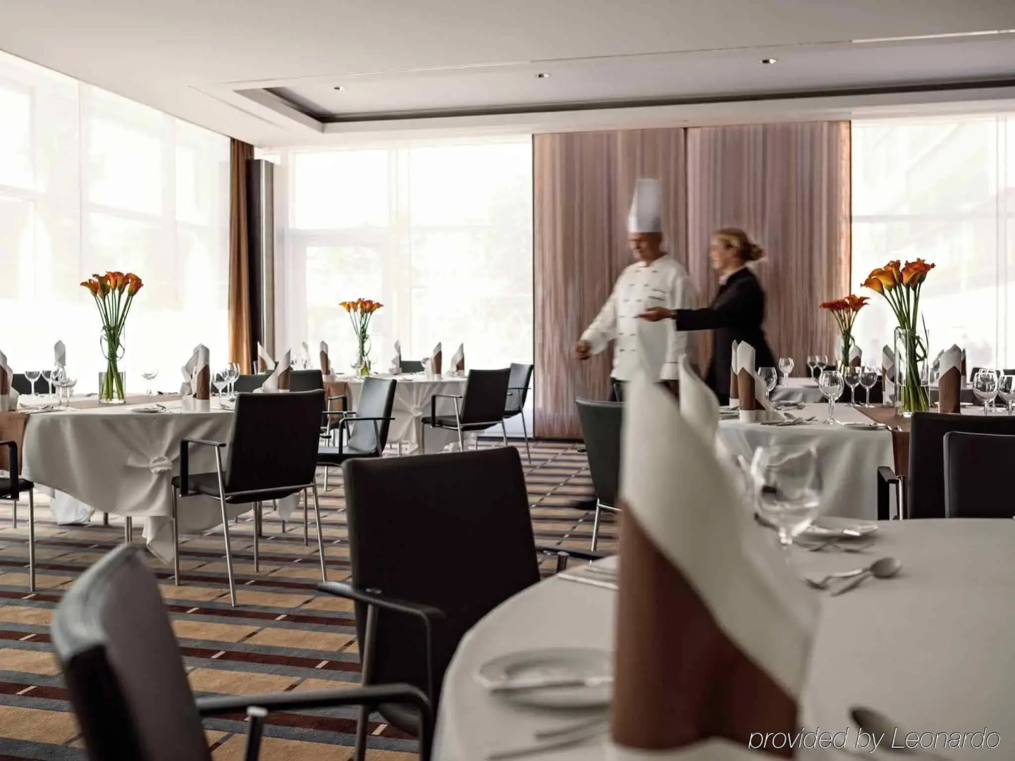 Occidental Dresden Newa