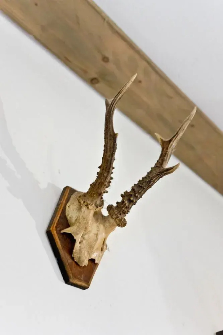 Zinkhaus - Waldheimat Alpl