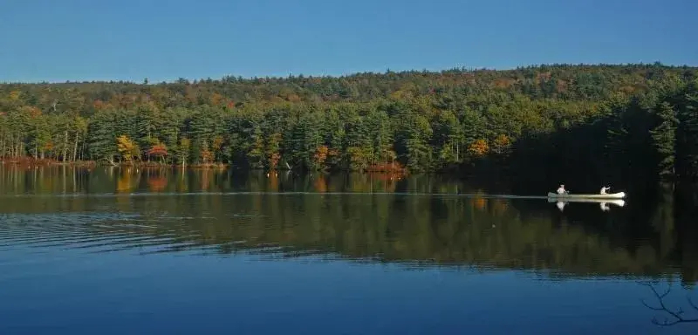 Purity Spring Resort