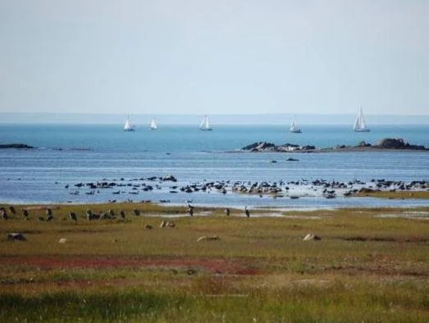 Motel au Soleil Couchant