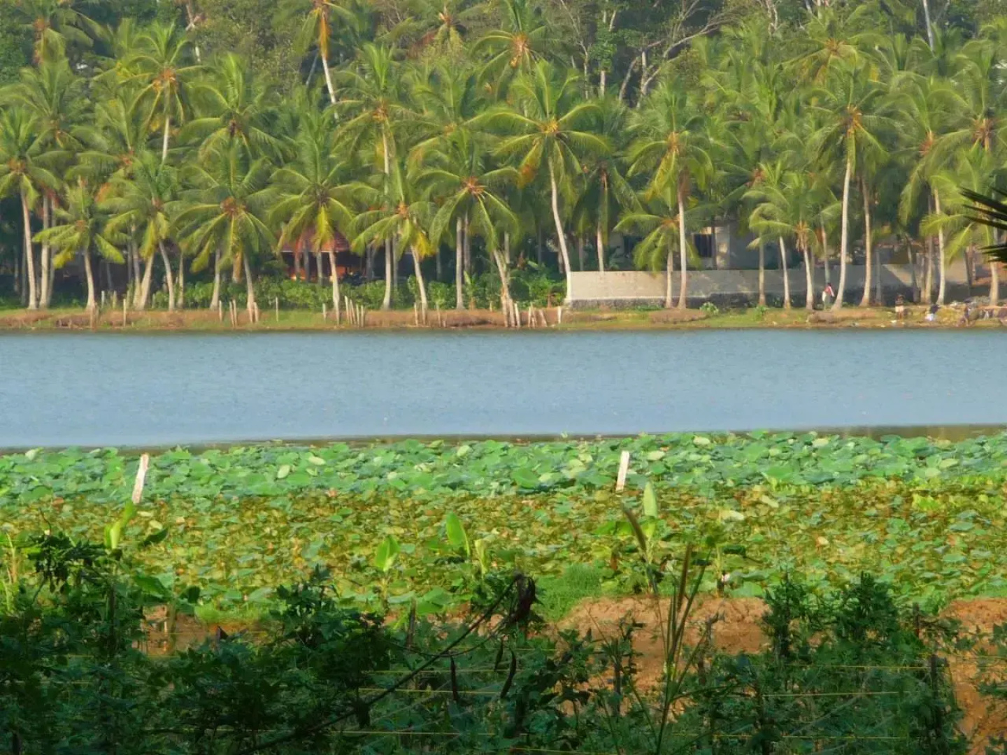 Ganesh Ayurveda Holiday Home Apartment