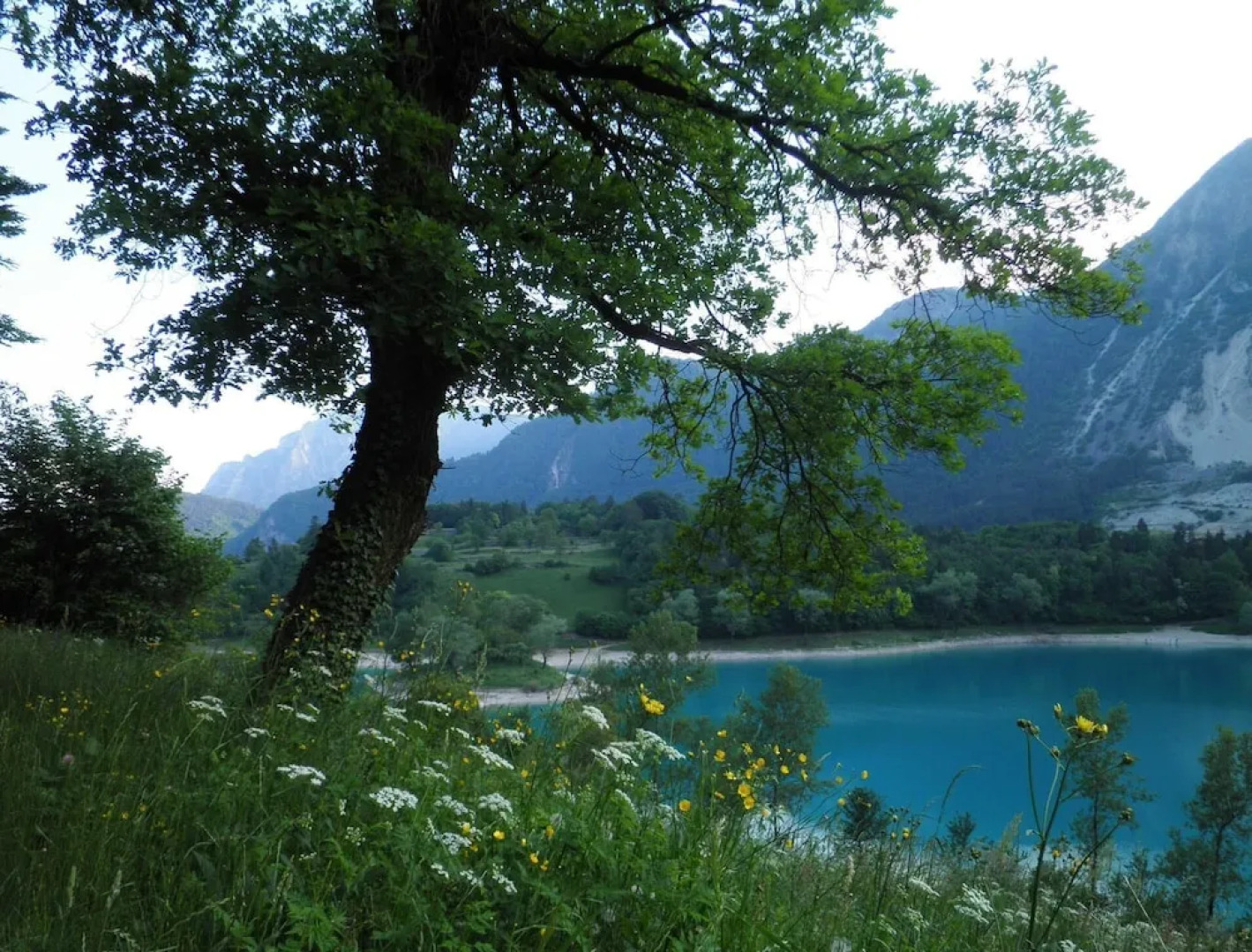 La Piazzetta Di Canale