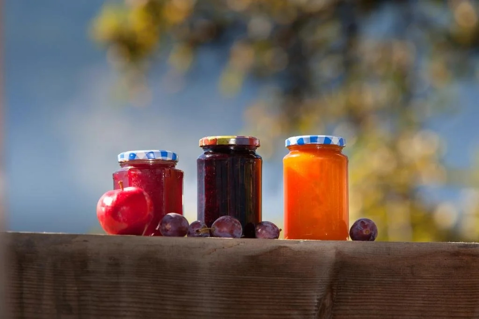 Ferienwohnung Bognerhof