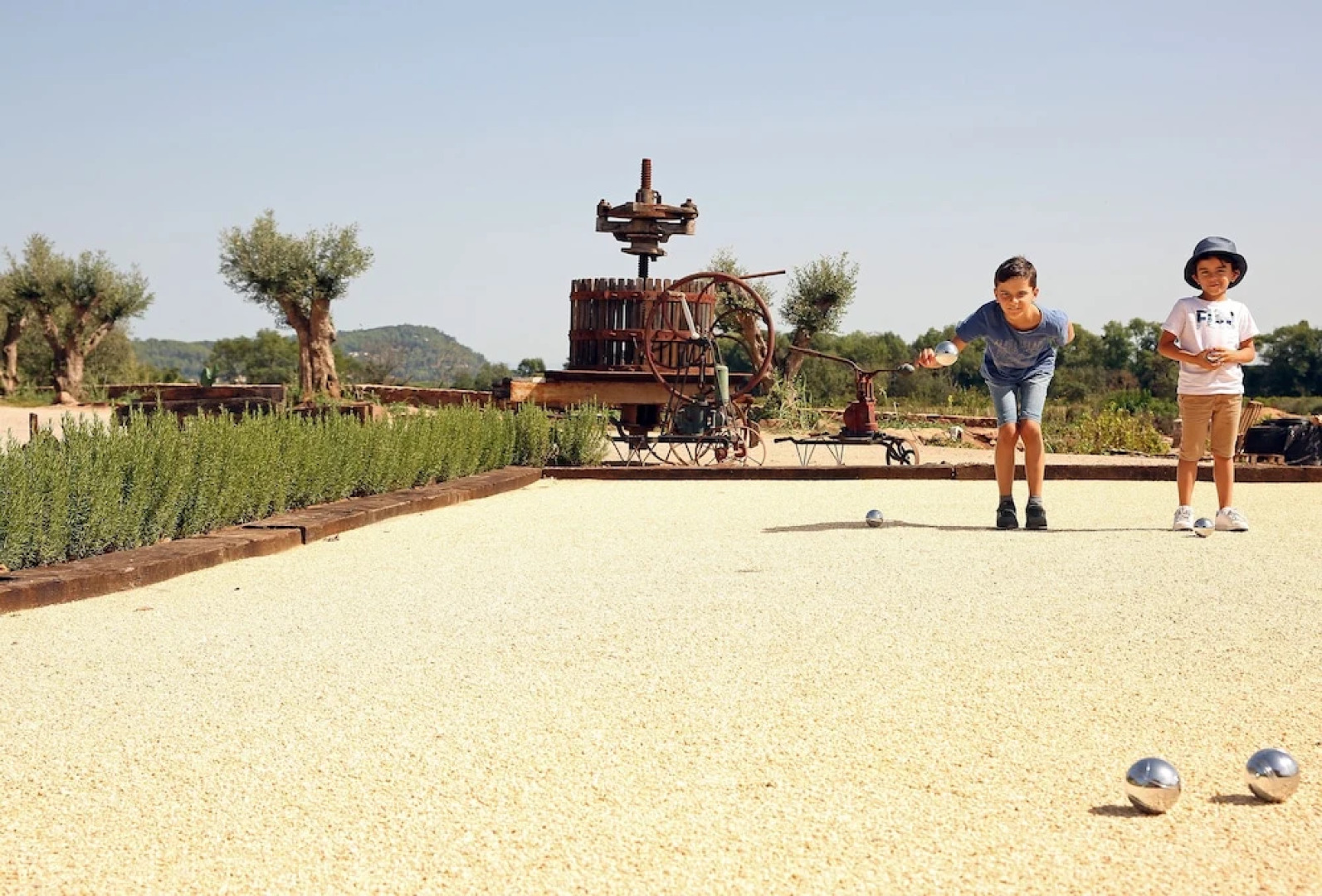 Château Saint-Roux Le Luc- Le Cannet des Maures