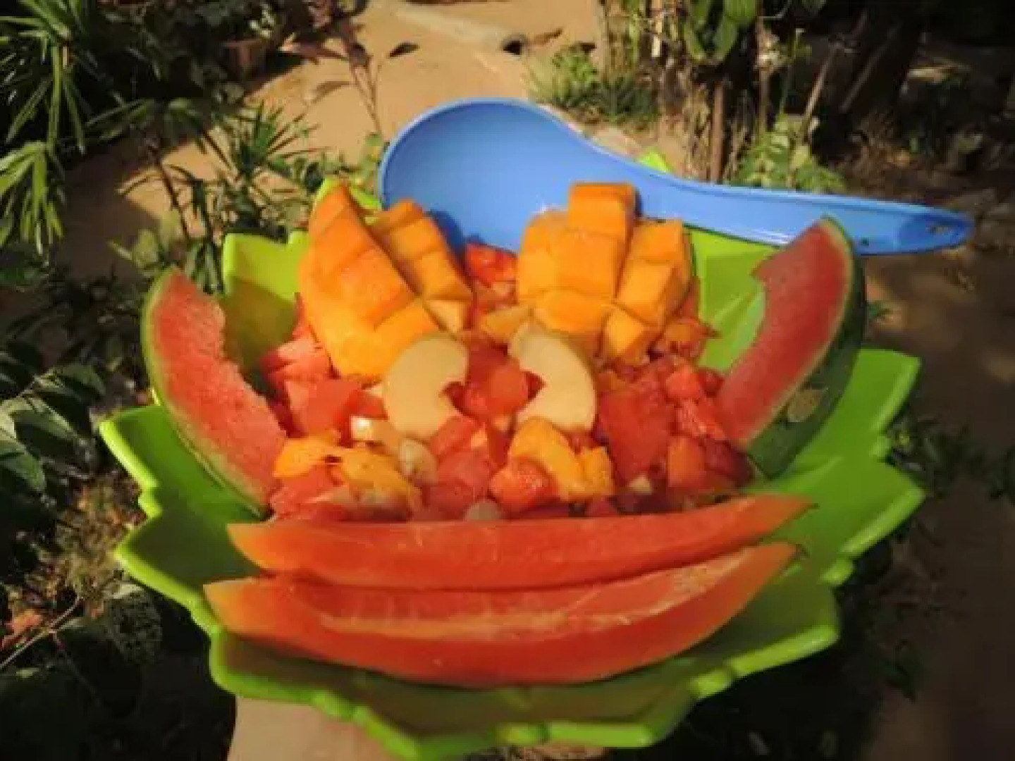 Oasis Tourist Welfare Center