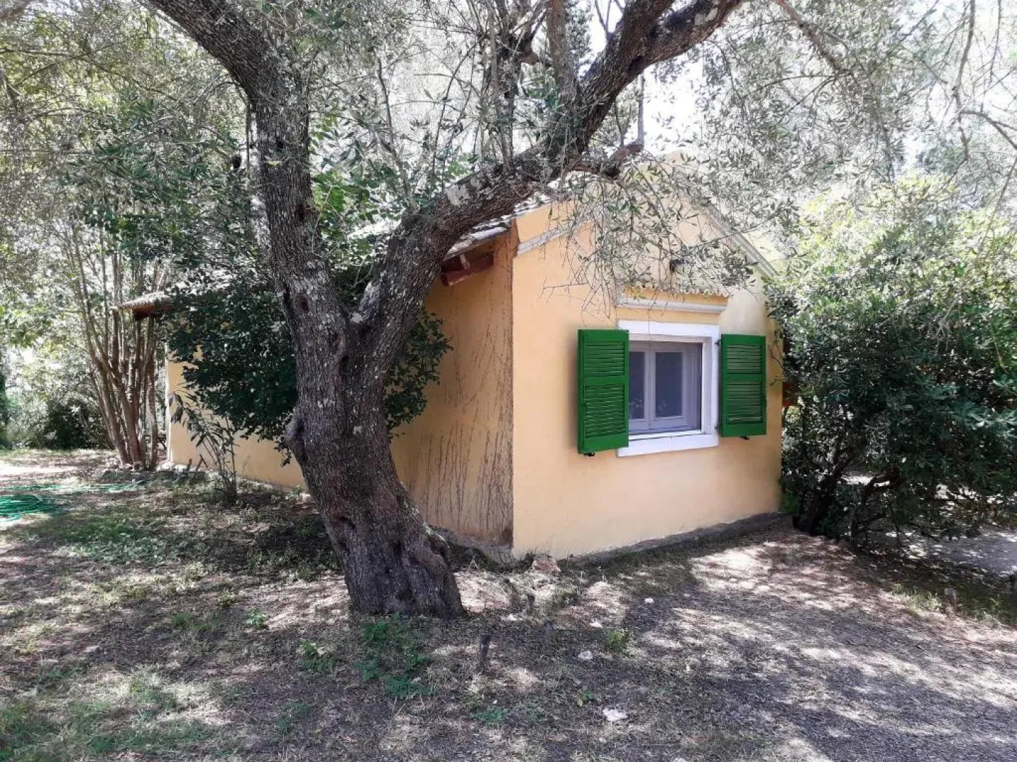 House in the Olive Garden