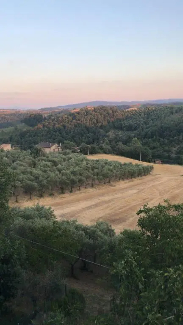 La terrazza sul vulcano