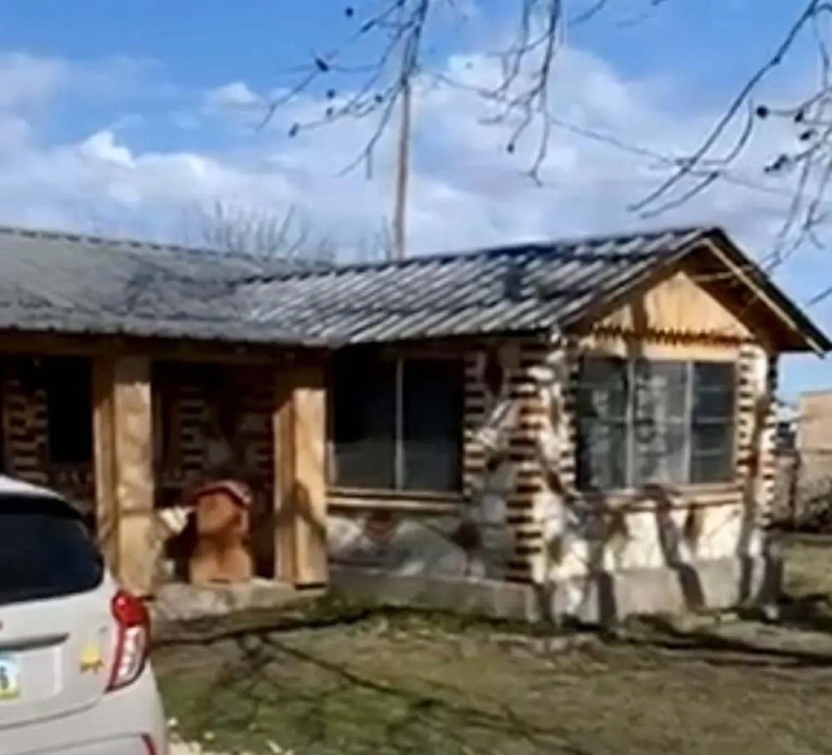 Buena Vista Wildlife Safari and RV Park