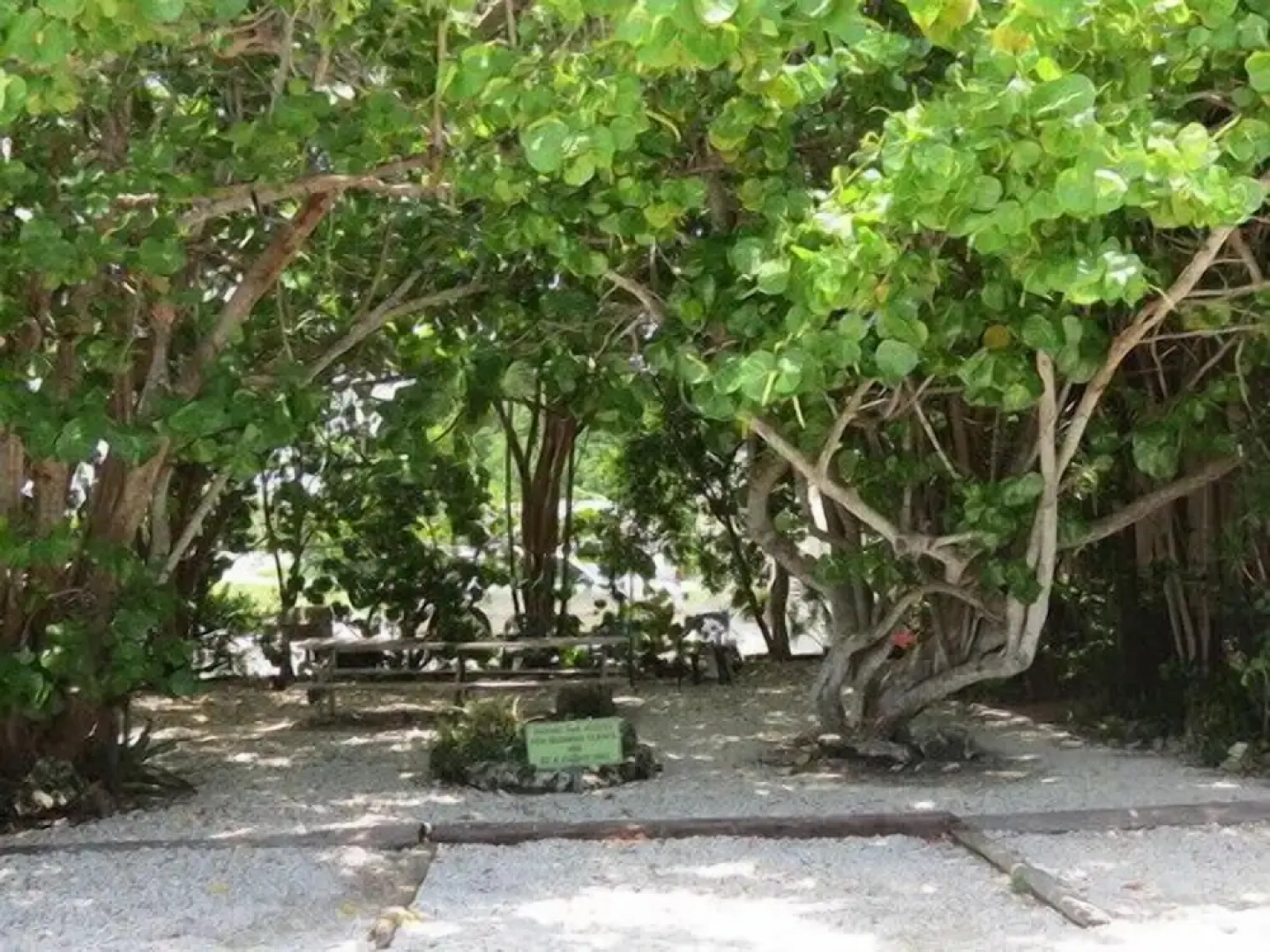 Ed & Ellens Lodging Key largo