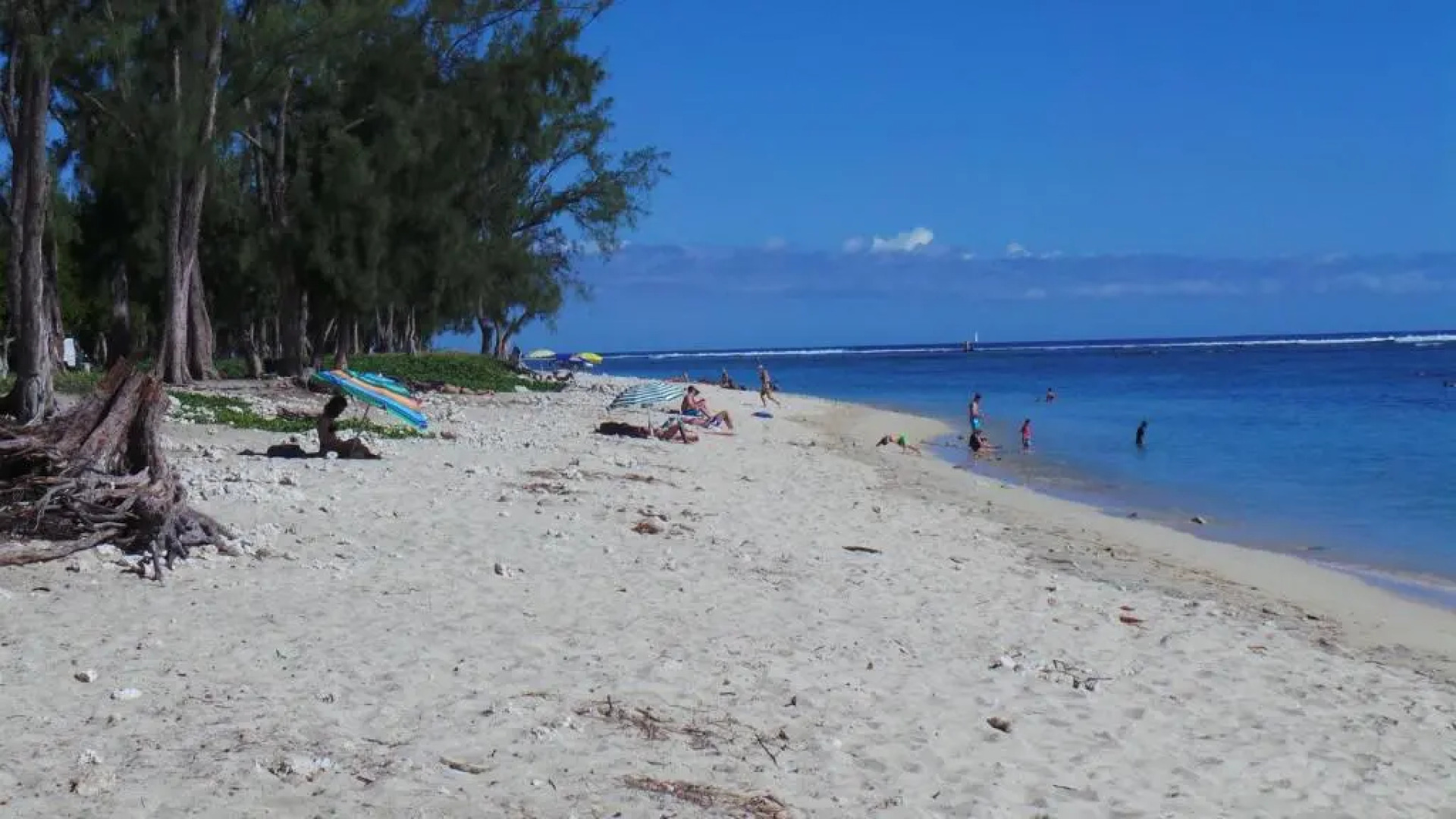 Entre cocotiers et Filaos