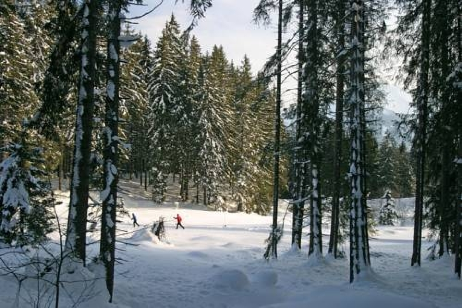Hotel Gasthof Hirschenwirt