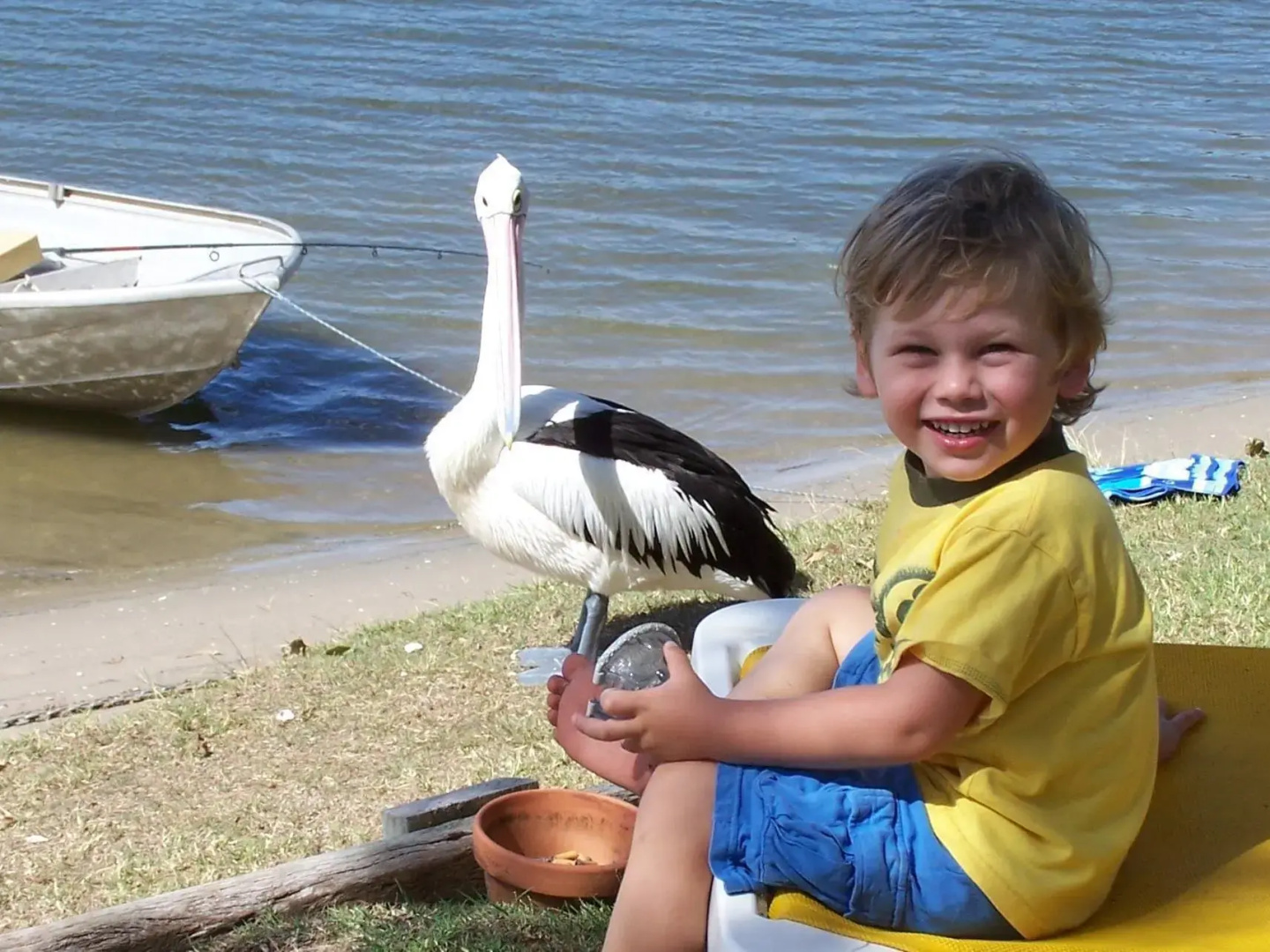 Maroochy River Bungalows