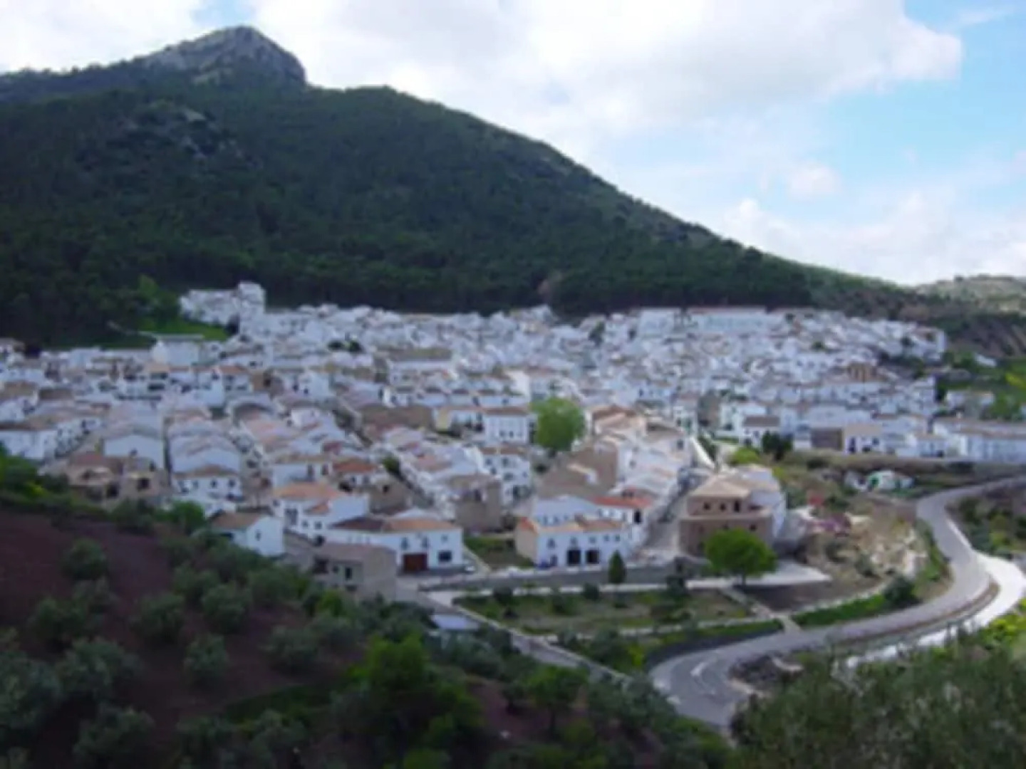 House in El Gastor 100820 by MO Rentals