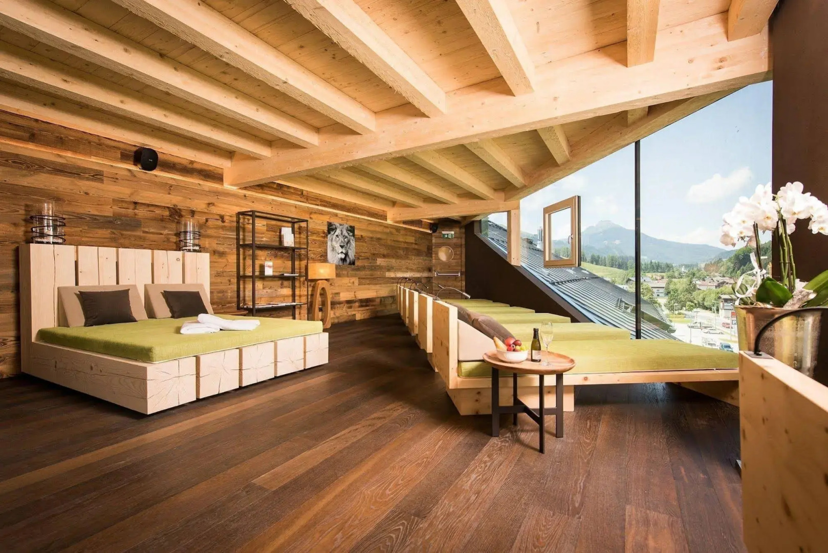 Der Löwe - LEBE FREI