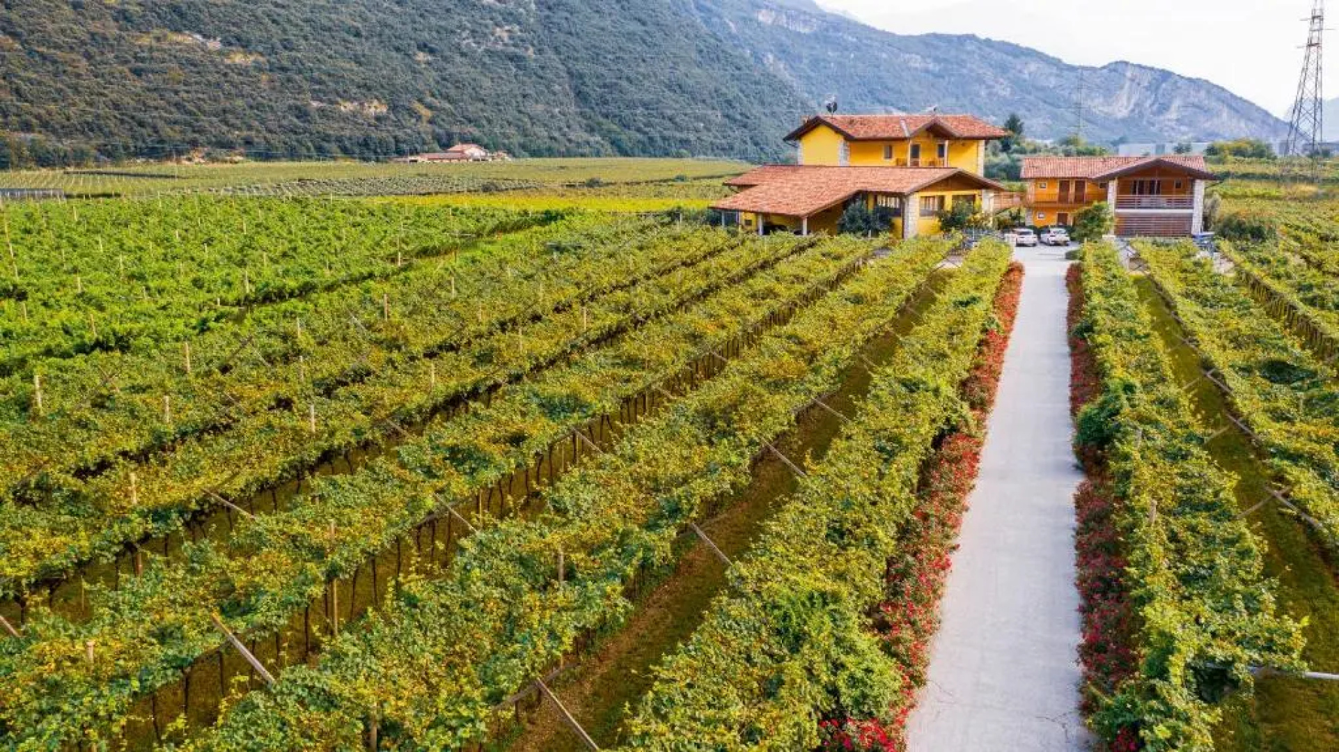 Maso Agritur Santa Lucia