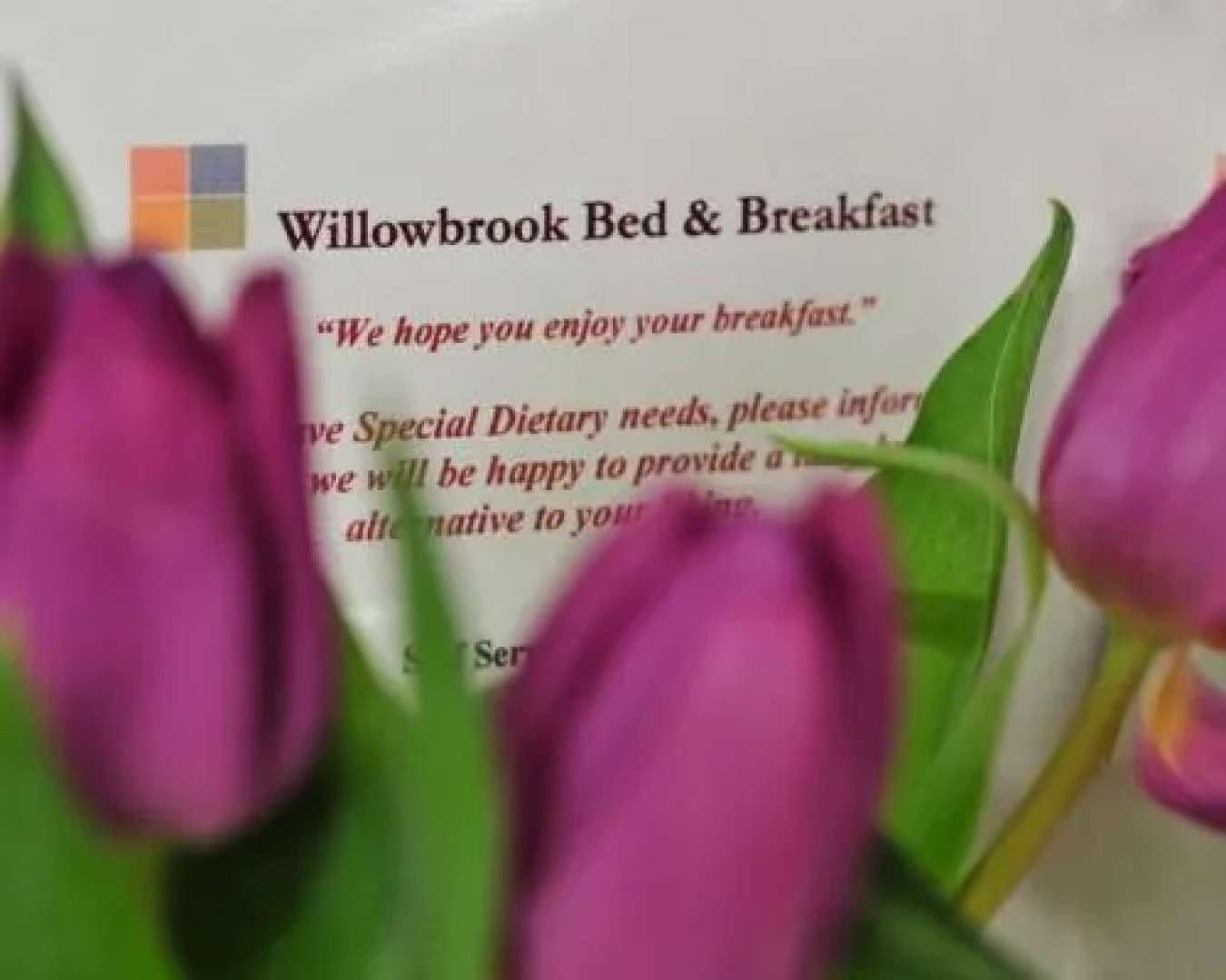 Willowbrook Bed & Breakfast