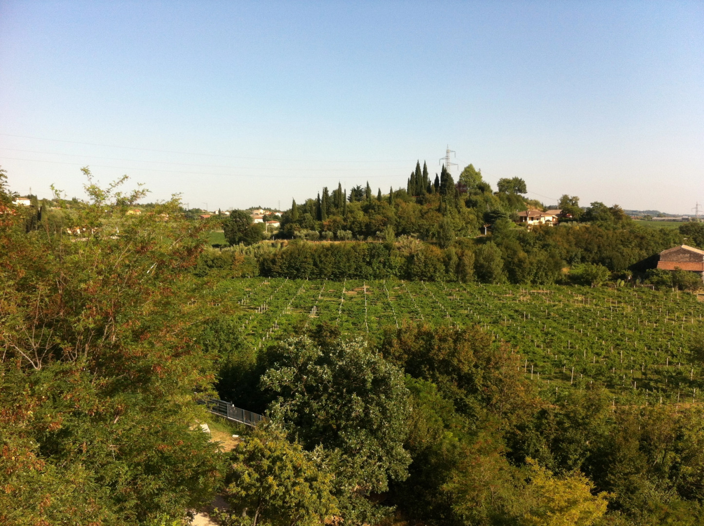 Отель La Rondinaia in Eurocongressi