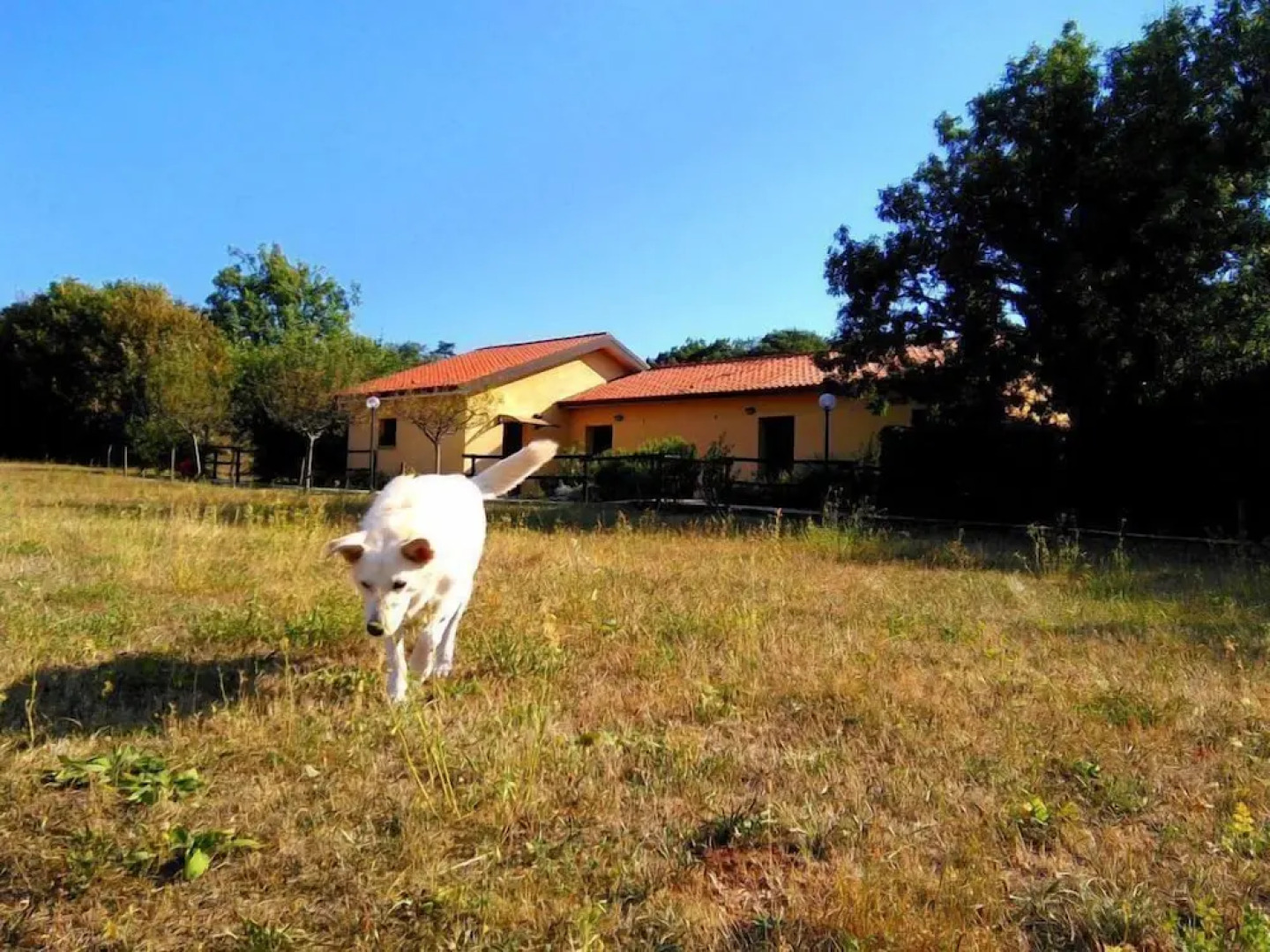 Agriturismo Radovic