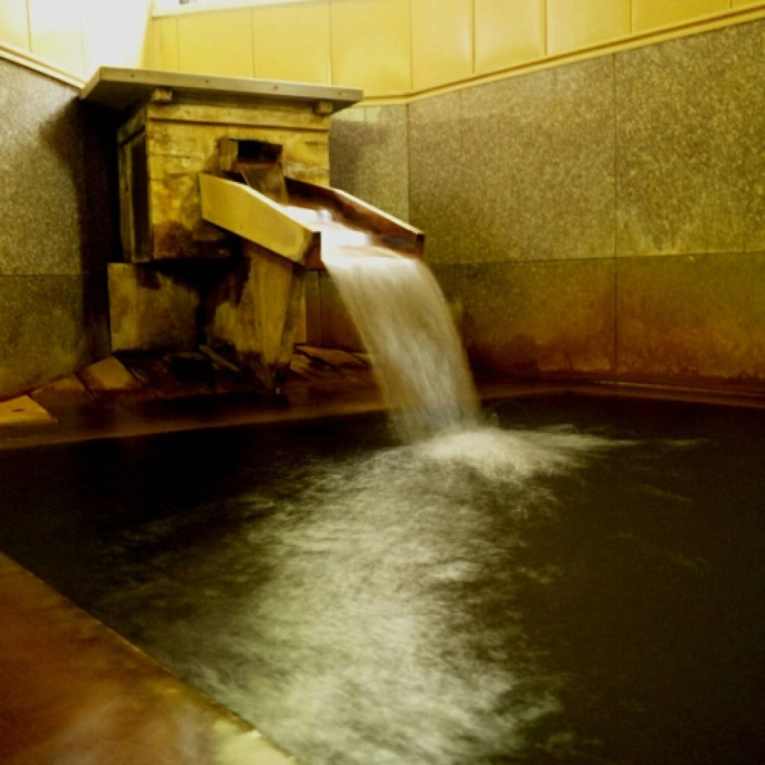 Togatta Onsen Tamaya Ryokan