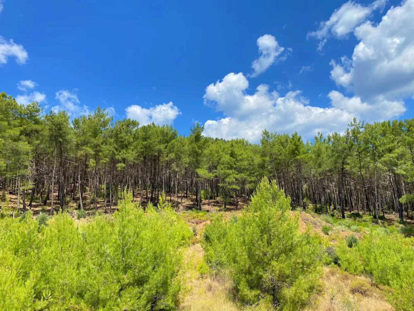 Onoda Hotel & Suites