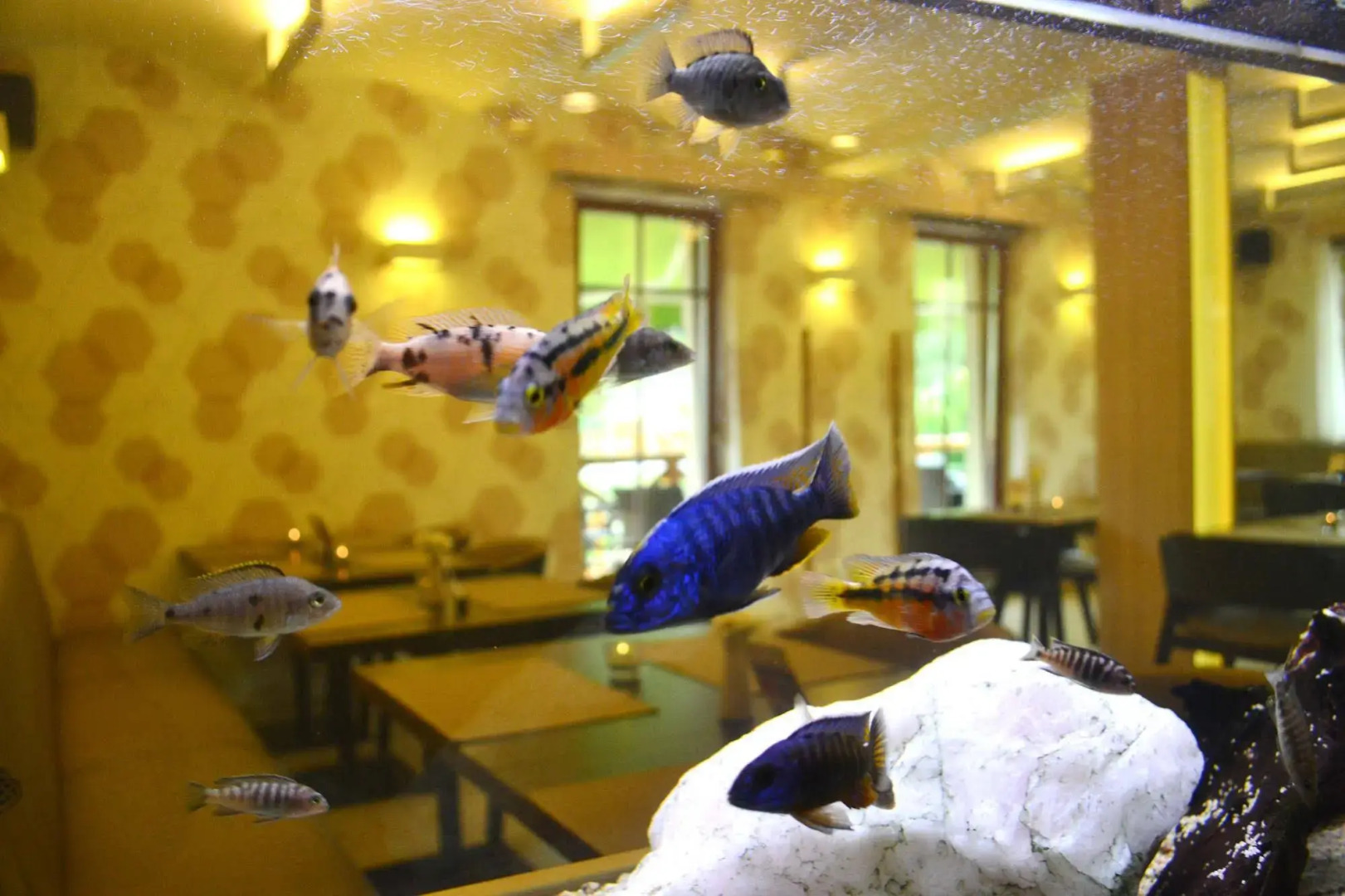 Wellness Hotel Peras