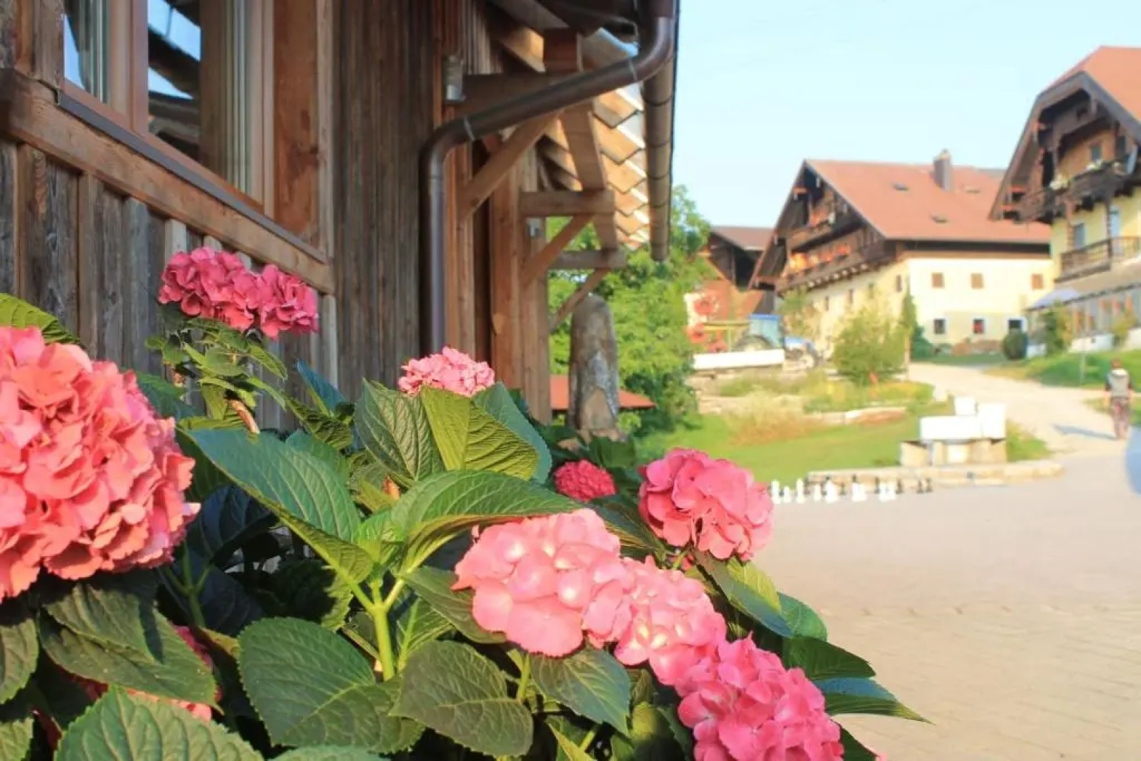 Bio Archehof Zachhiesen
