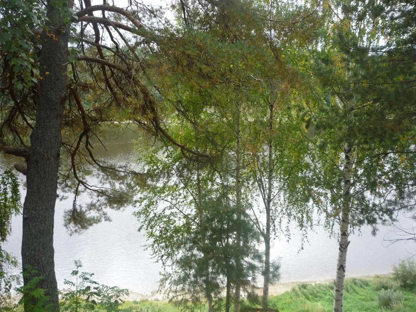 Жемчужина Сухоны