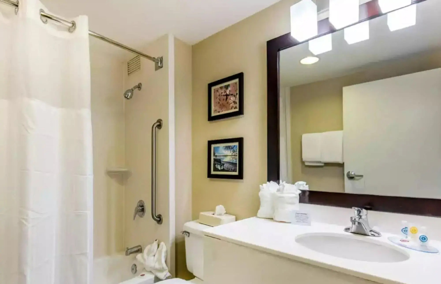 Comfort Inn College Park North