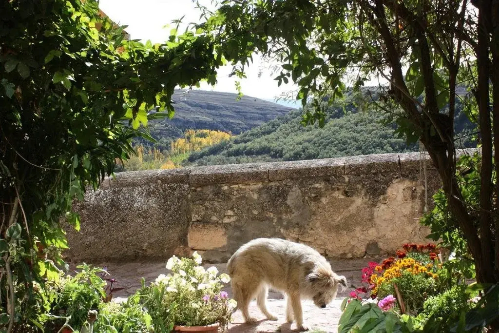 Hostal Casa Paco - Mirador del Caslilla