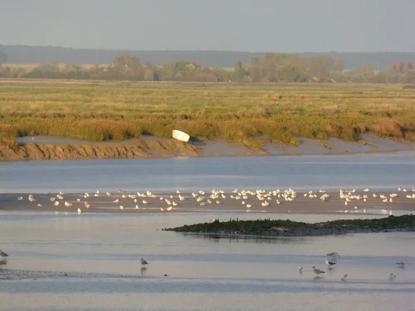 Beautiful Apartment, 2 Terraces, Near Beach