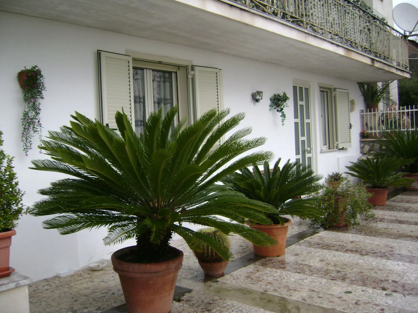 Camere Riviera di Ulisse