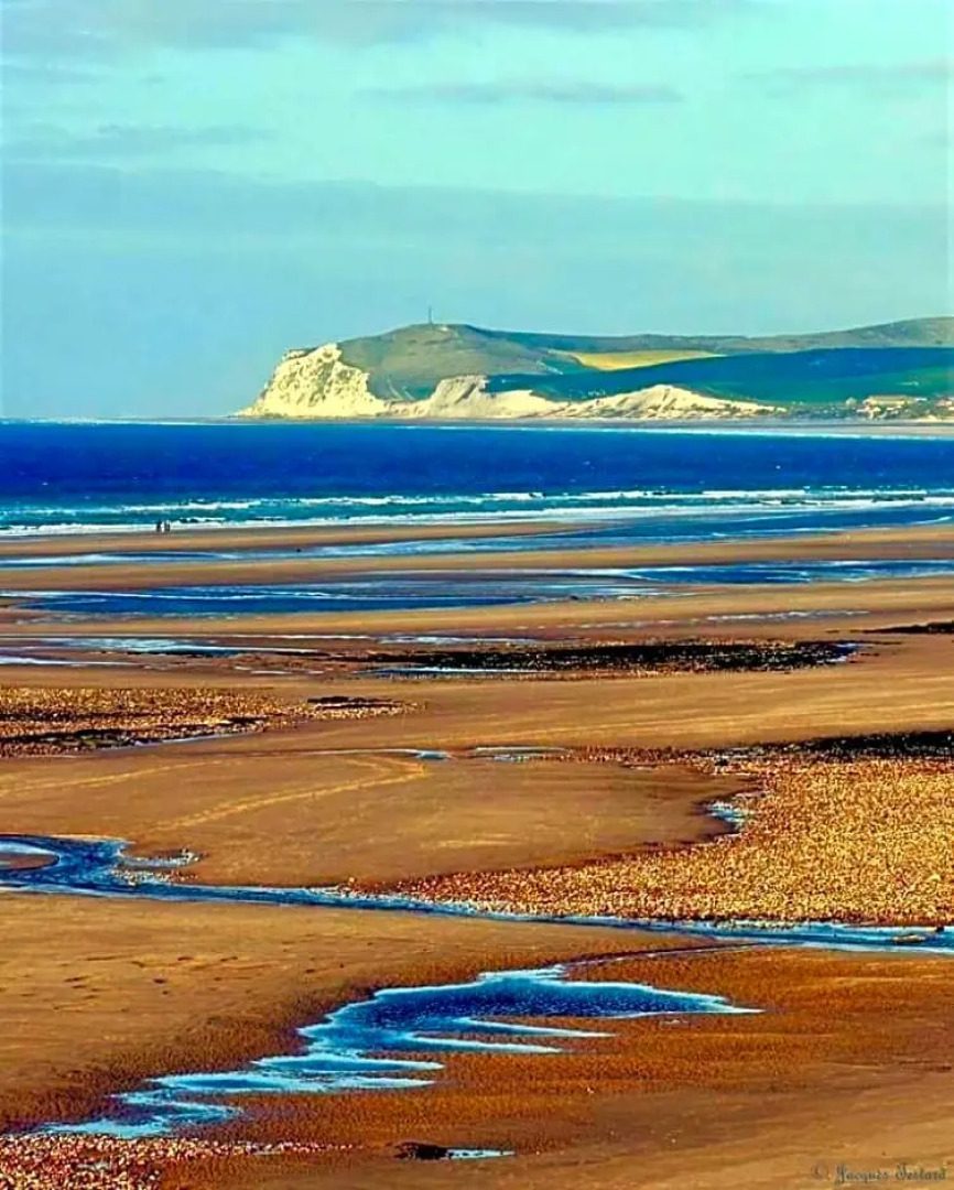 Chambres d'Hôtes "Les Pins"