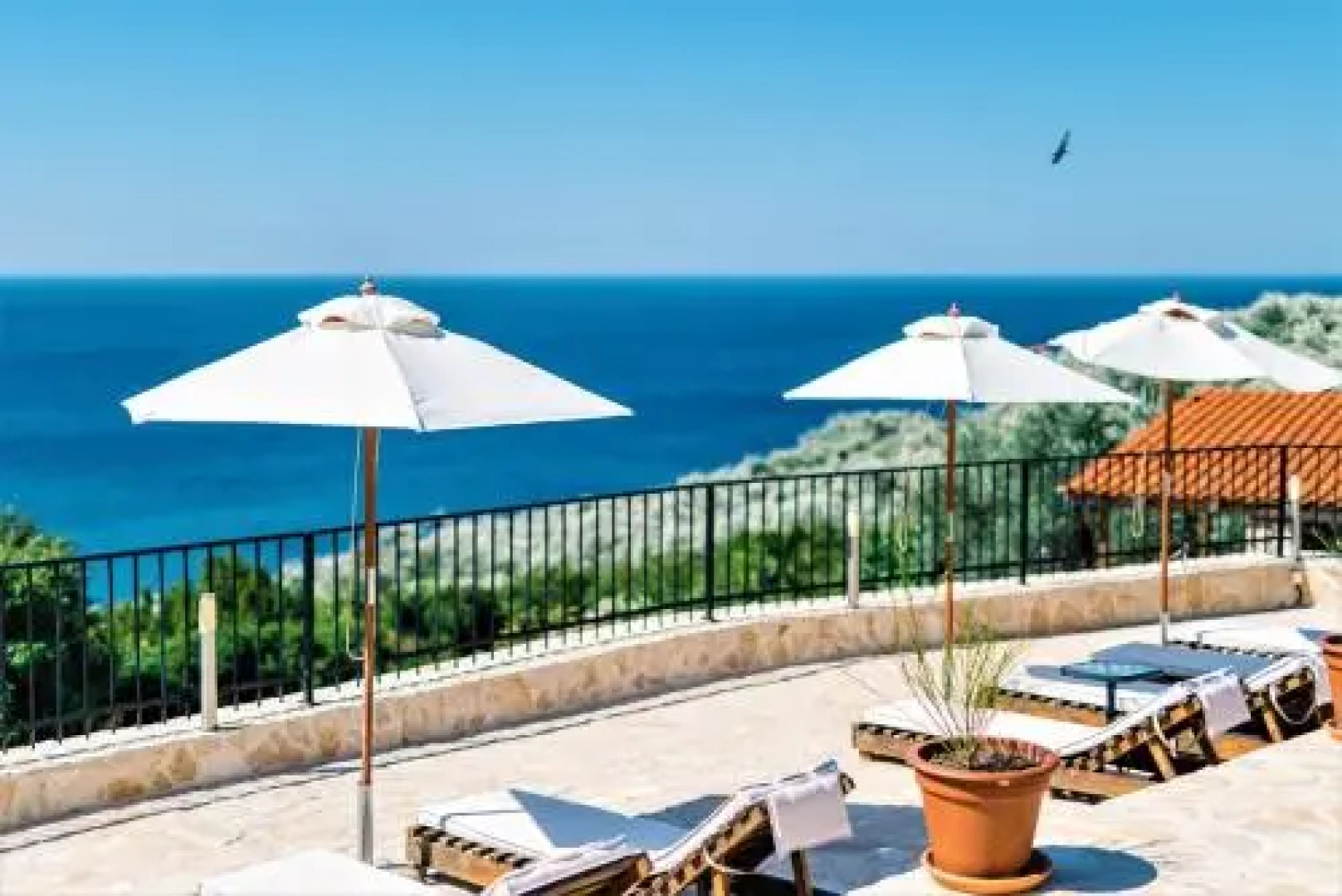 Holiday Park Olive Tree