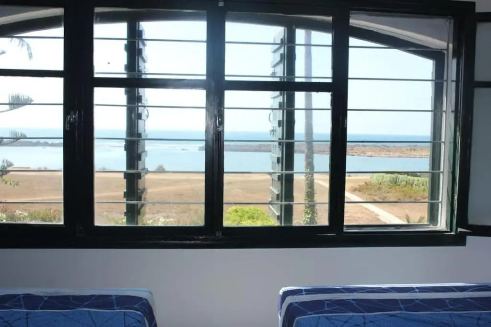La Grande Propriété Étoile De Mer