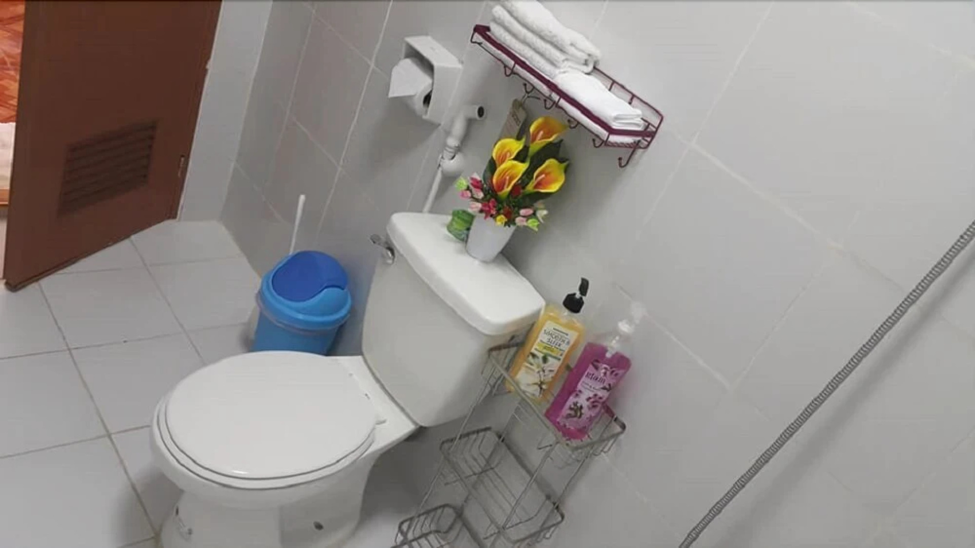 Carribean Transient House