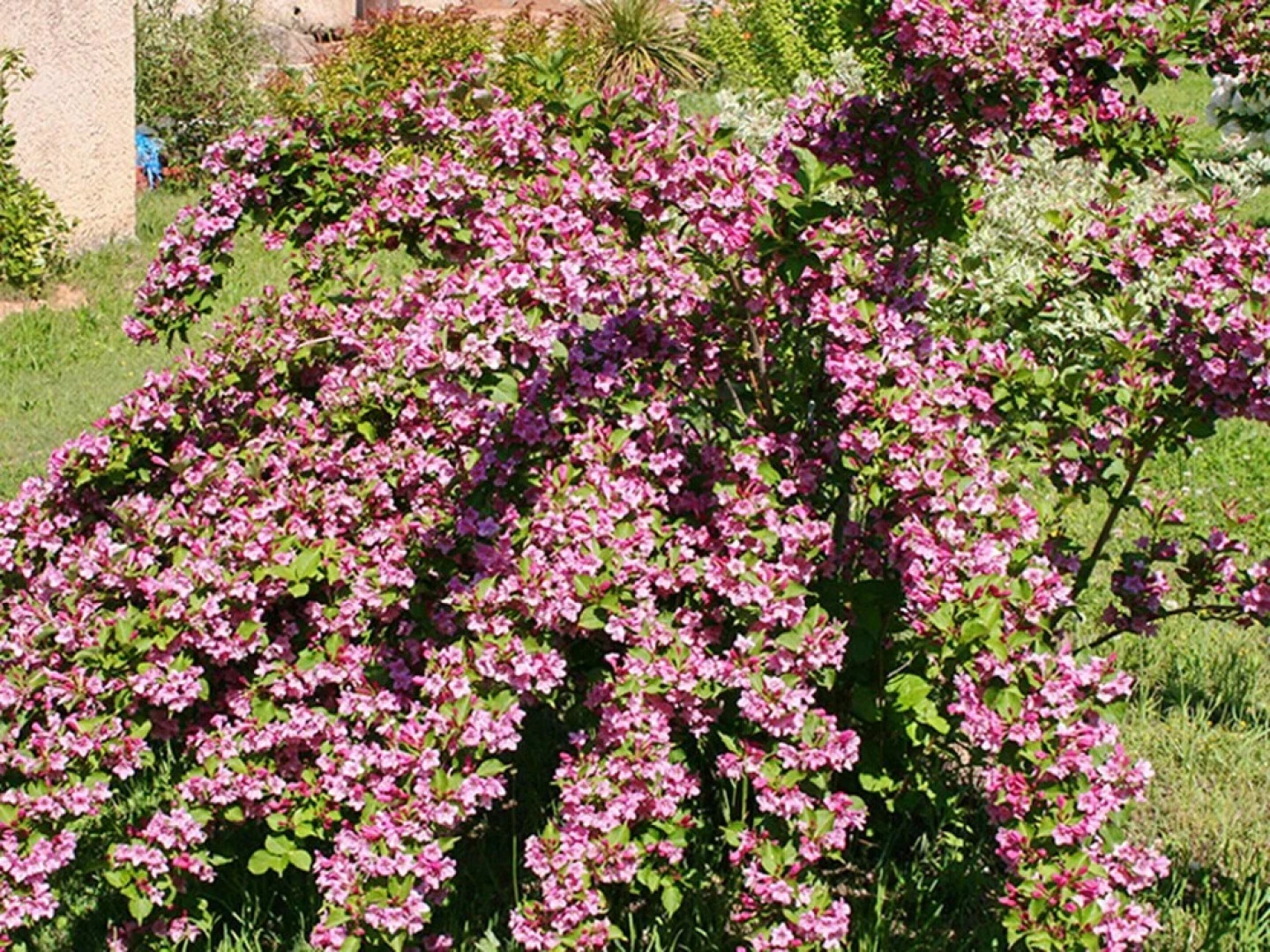 Villa With 2 Bedrooms in Mormoiron, With Private Pool and Furnished Ga