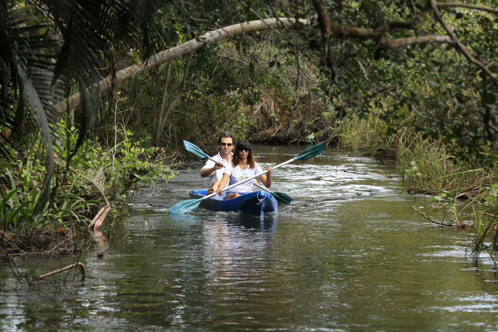 Mata N'ativa Pousada