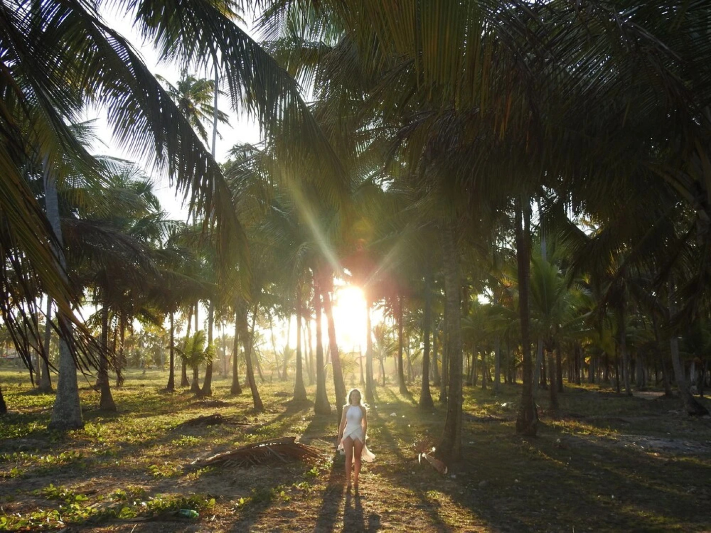 Pousada Rota Ecológica