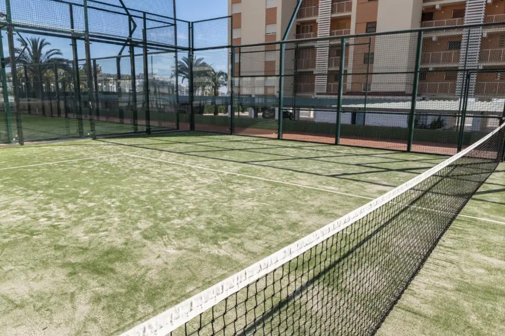 Florazar 1, Iii-B 8-B